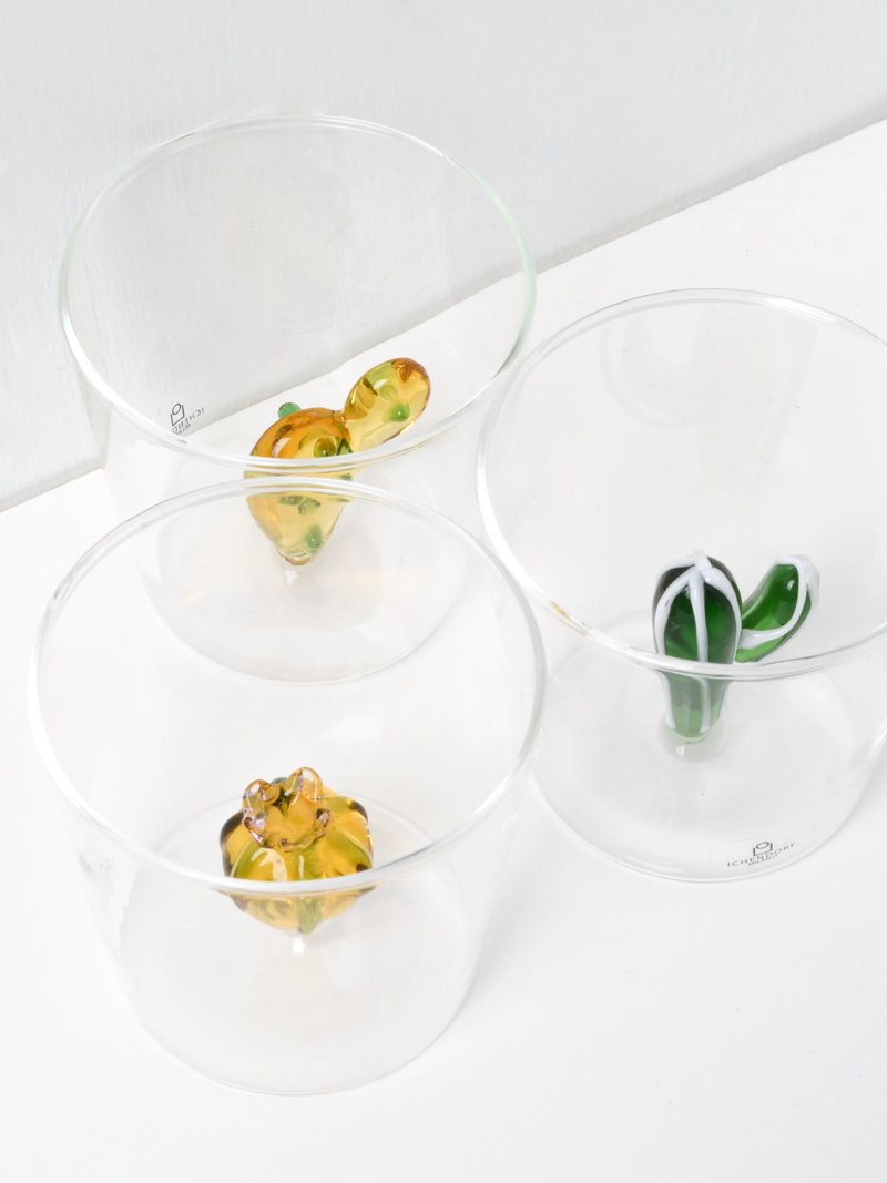 DESERT PLANT Tumbler set of 6
