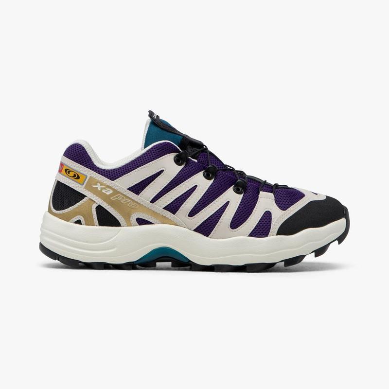 Salomon XA Pro 1 Grape Juice Chocolate Fondant Shoes  display picture 2