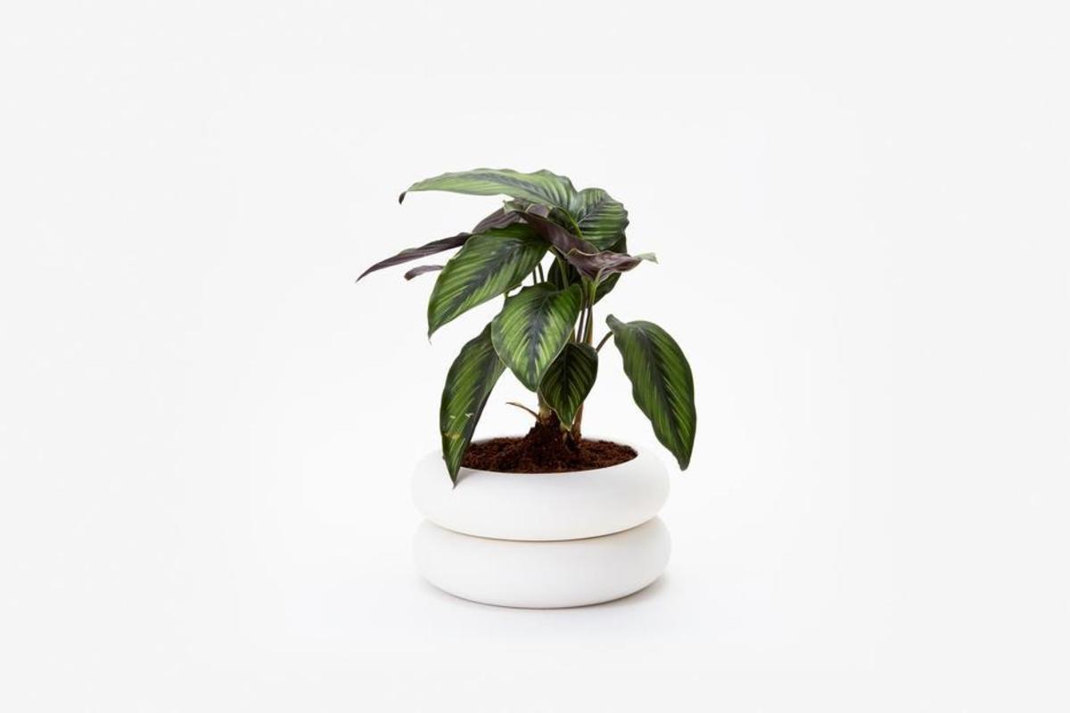Chen Chen & Kai Williams Short Stacking Planter - White - Image 1 of 7