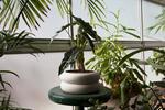 Chen Chen & Kai Williams Short Stacking Planter - White - Thumbnail 3
