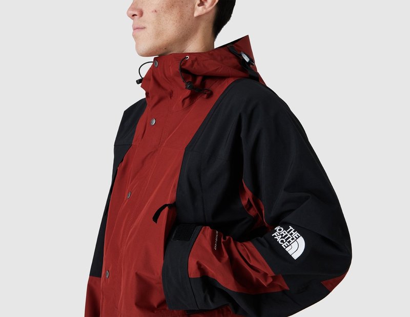 The North Face 1994 Retro Mountain Futurelight Jacket