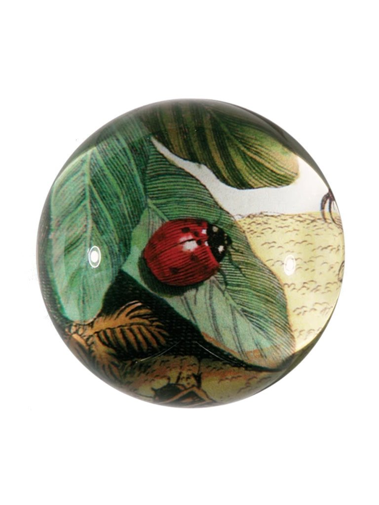 John Derian Ladybug on Leaf Paperweight Multi Garmentory