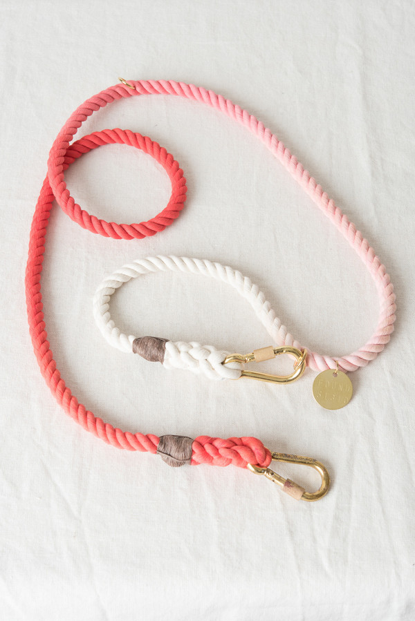 found brooklyn leash