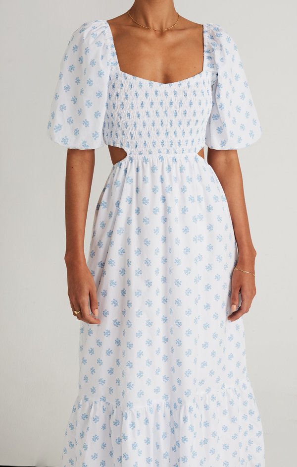 knee length dresses for ladies Aurelia Midi Dress Amaryllis Floral Blue main image 0