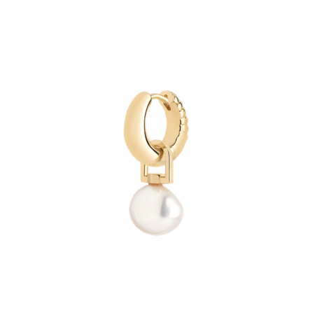 Maria Black Polo Huggie - Gold | Garmentory