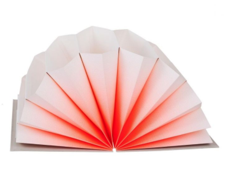 HAY : Plissé Accordion Folder HAY : Plissé Accordion Folder