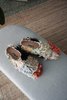 CALLA EULI BABOUCHE Slippers - Thumbnail 5