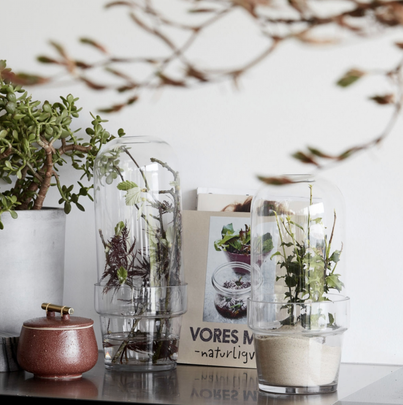 House Doctor Glass Bell W. Planter - Clear