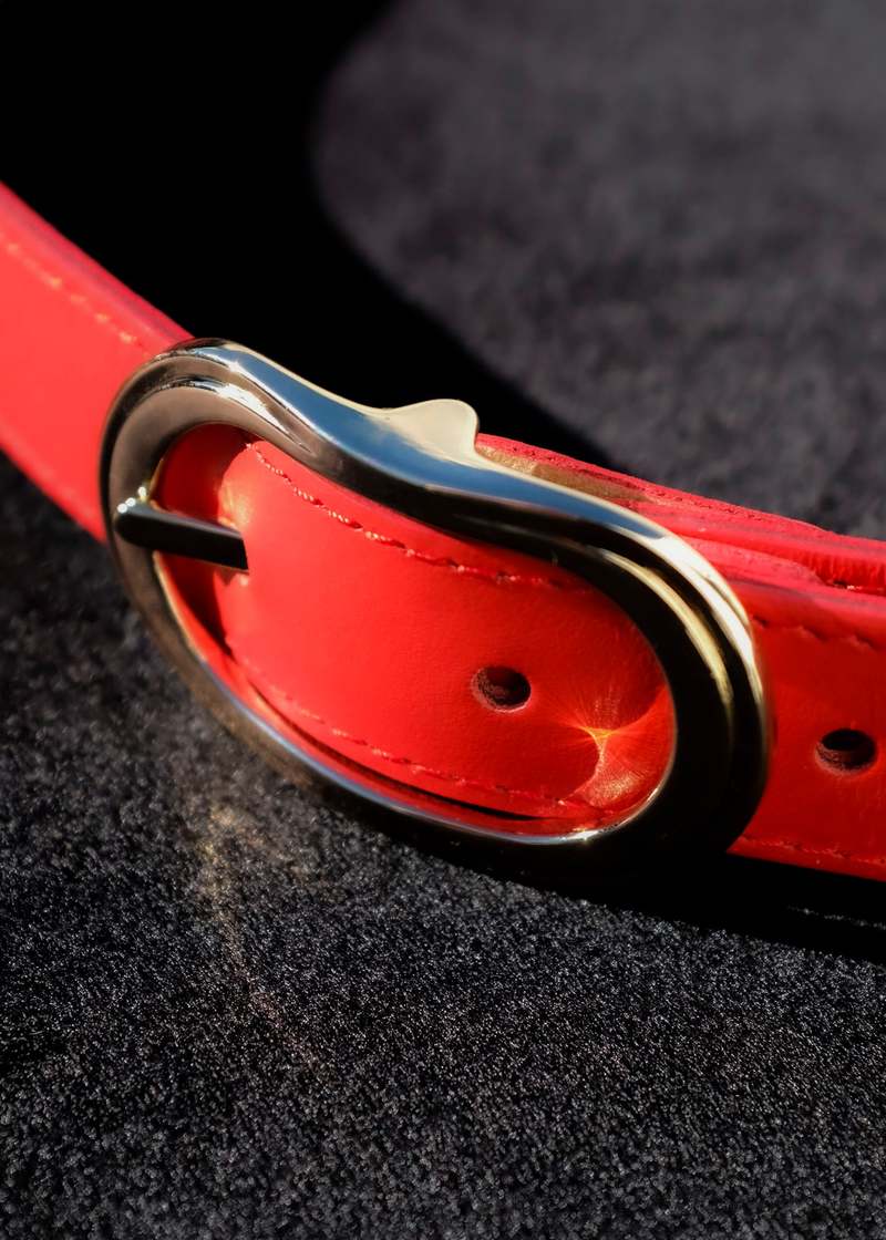 Ernest W. Baker Calf Leather Gold Buckle Belt - red | Garmentory