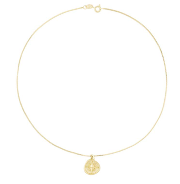 Electric Picks North Necklace 14kt Gold Filled Garmentory