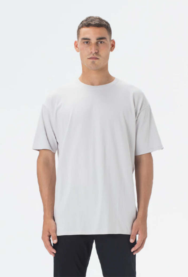 Zanerobe Box Tee - Frost | Garmentory