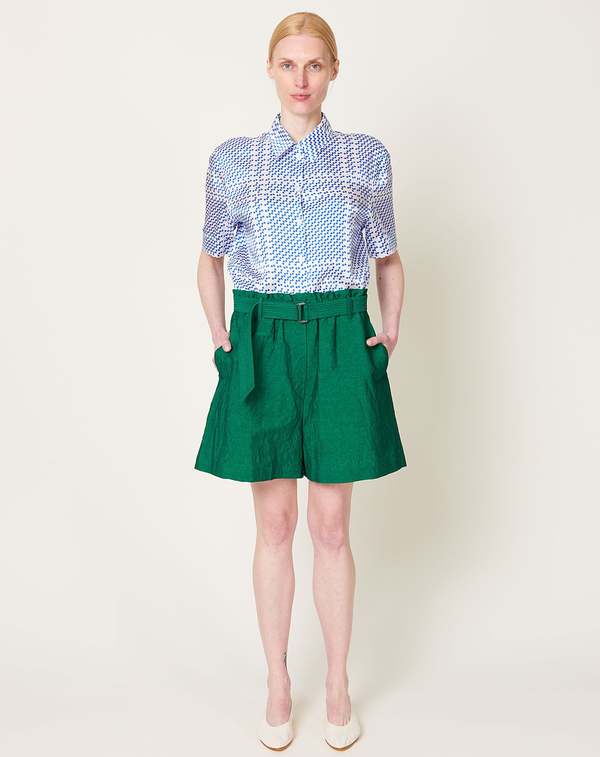 Petros Shorts in Wild Green