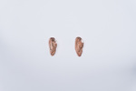 GARMENTORY EXCLUSIVE | Leigh Miller Rose Gold Plated Ostra Earrings  - Thumbnail 2