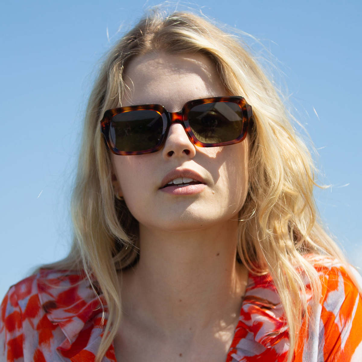 Taylor Morris Sidney Sunglasses - Tortoise | Garmentory display picture 1