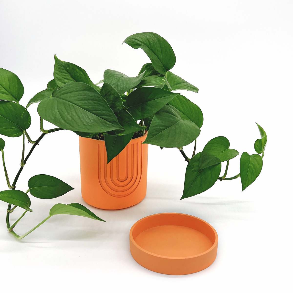 Large Etch Pot - Thumbnail 2