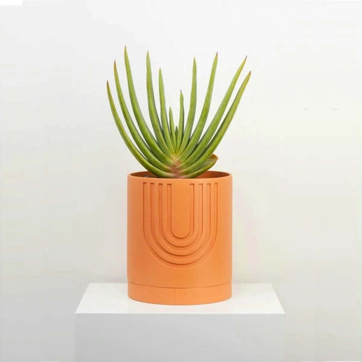 Large Etch Pot - Thumbnail 3