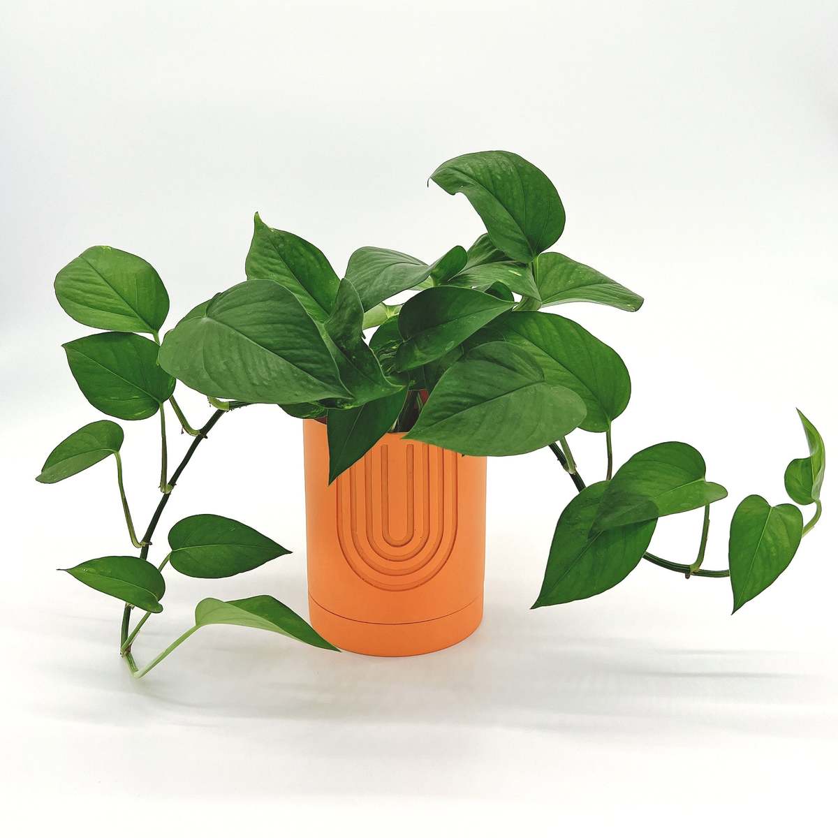 Large Etch Pot - Thumbnail 5