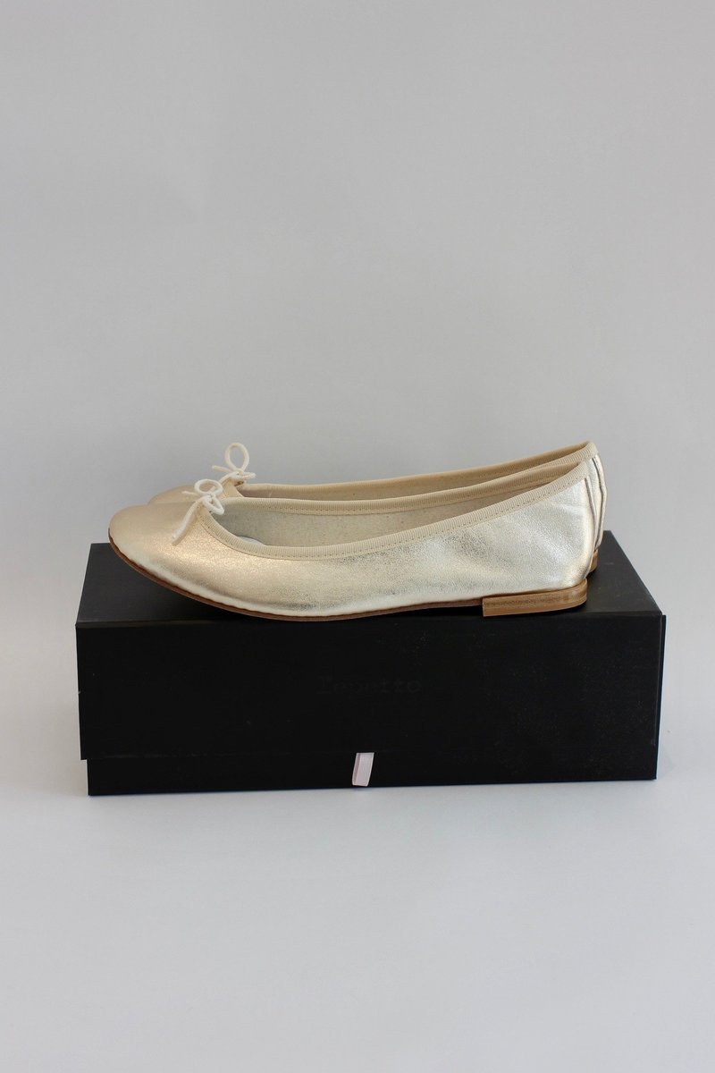 Repetto Shoes Repetto Metallic Ballet shoe