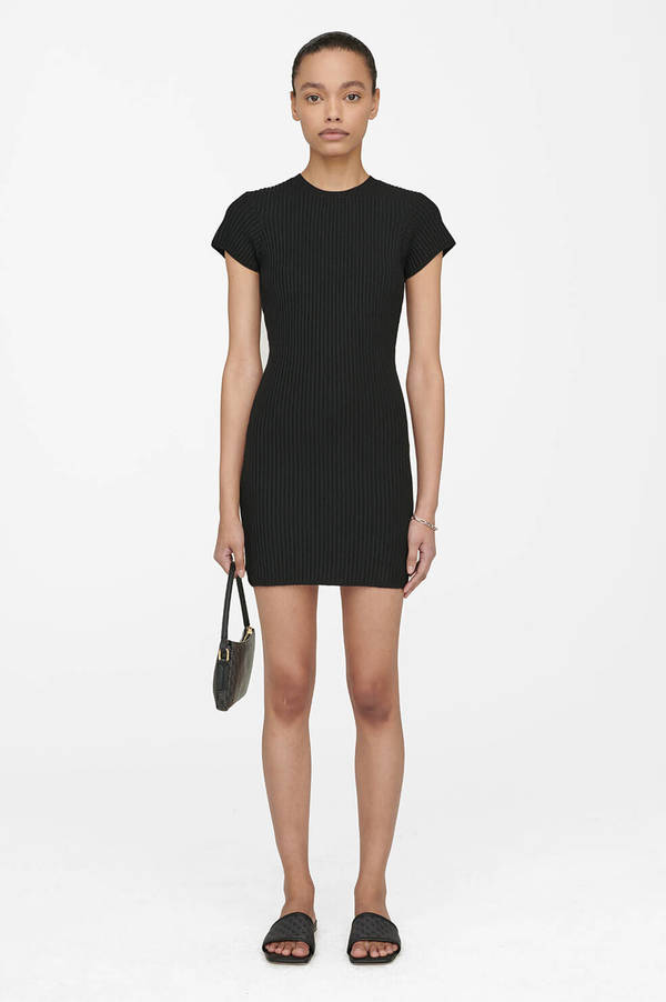 anine bing dress black Eliana Mini Dress in Black  Edit and Co