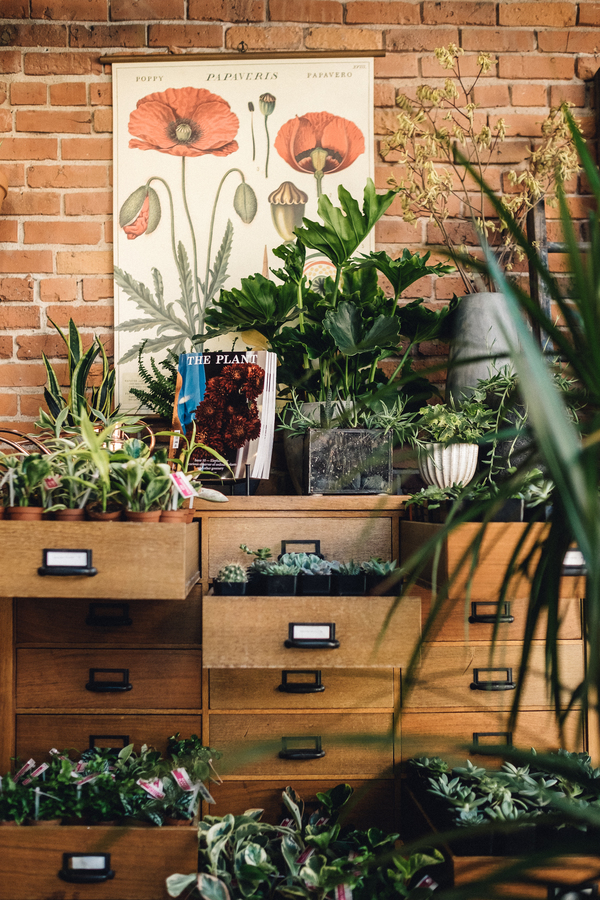 Glasswing Shop, Seattle, WA Garmentory