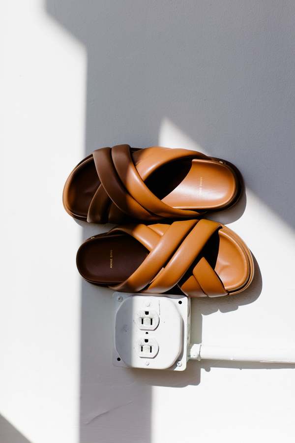 lizzie slides anine bing