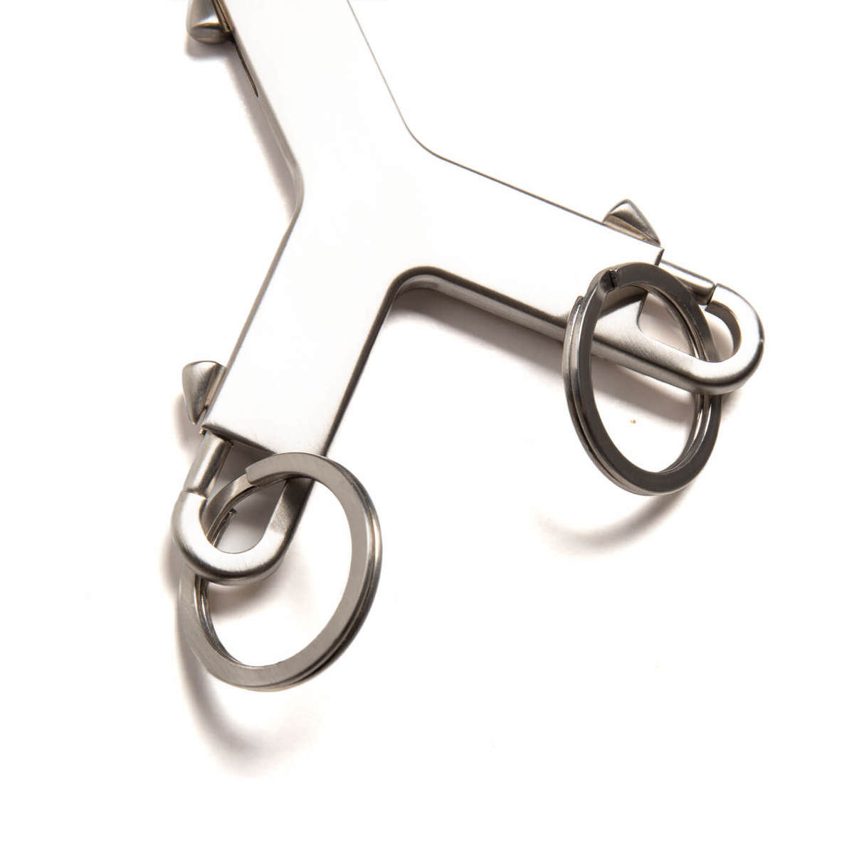 Cerberus keychain | Garmentory