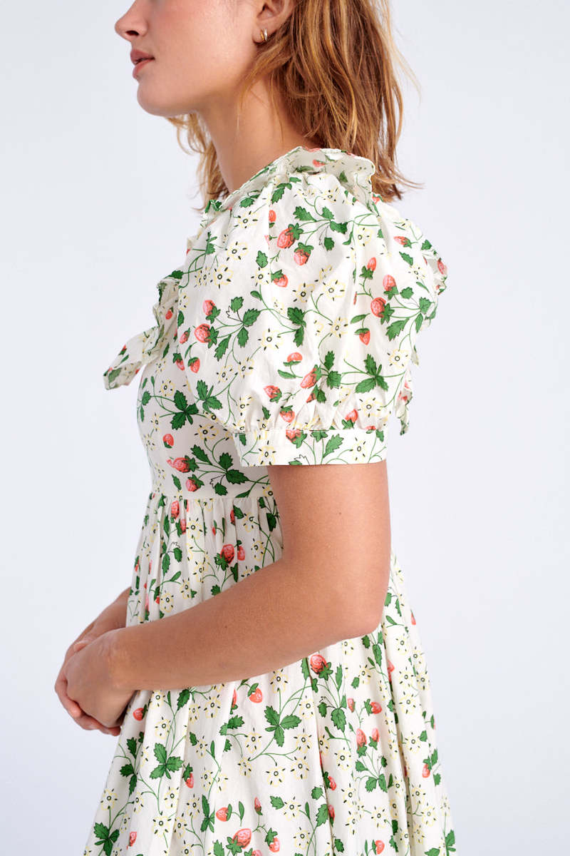 BATSHEVA May Dress - Strawberry Field