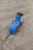 Ducktail Rainwear Dog's Raincoat -  - Thumbnail 4