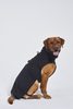 Ducktail Rainwear Dog's Raincoat -  - Thumbnail 9