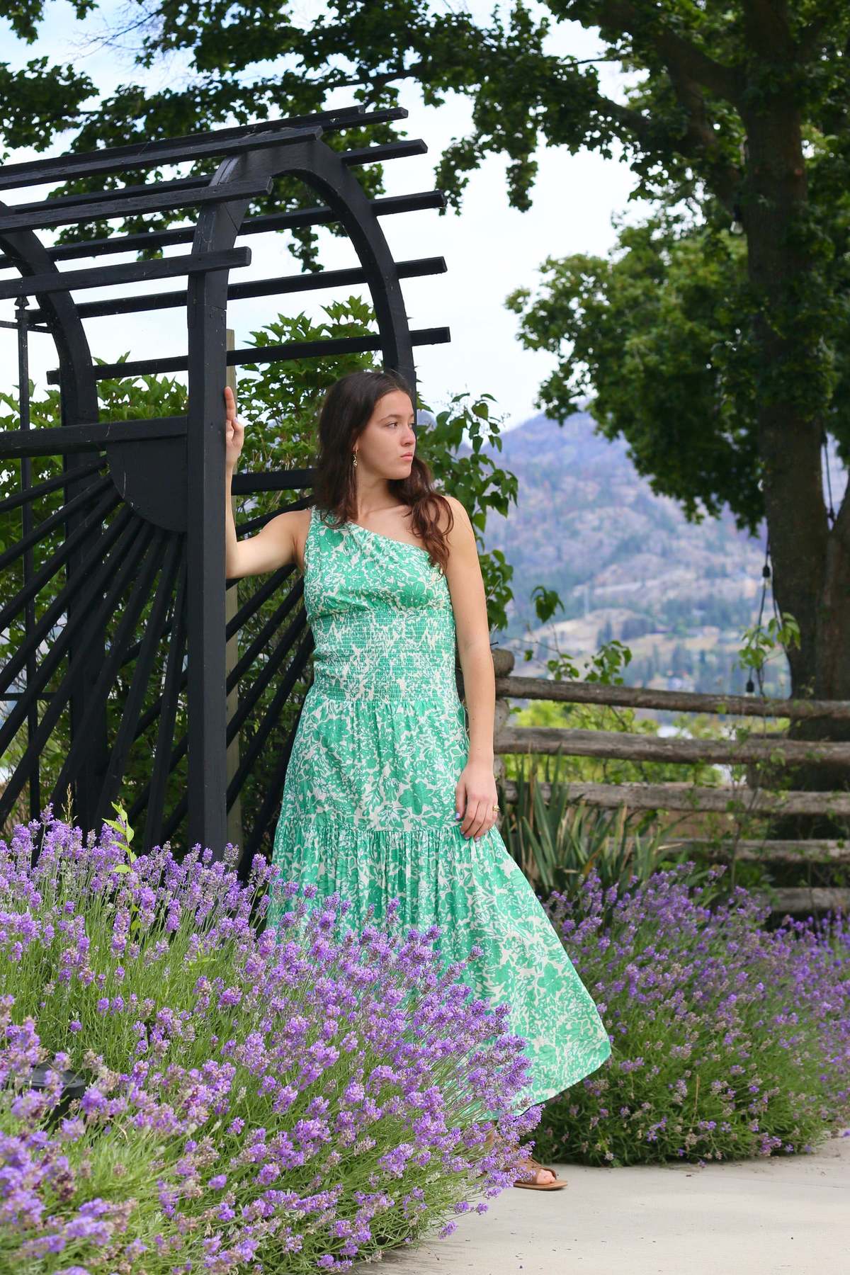 peony sunday holiday midi dress Sundress Midi ~ Peony main image 1