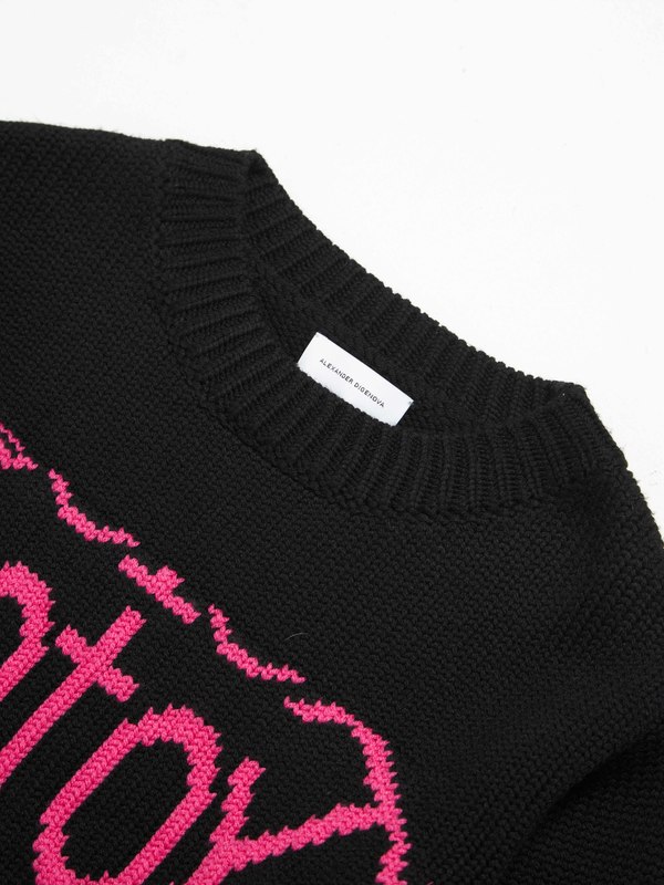Alexander digenova knit ニット Alexander Digenova Botox Printed Woolen Sweater - Black/Pink