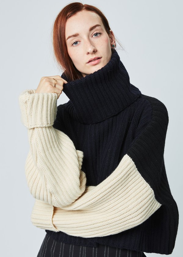 Hache Cropped Knit Turtleneck Sweater Garmentory