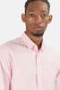 Blue&Cream Oxford Button Down - Pink - Thumbnail 4
