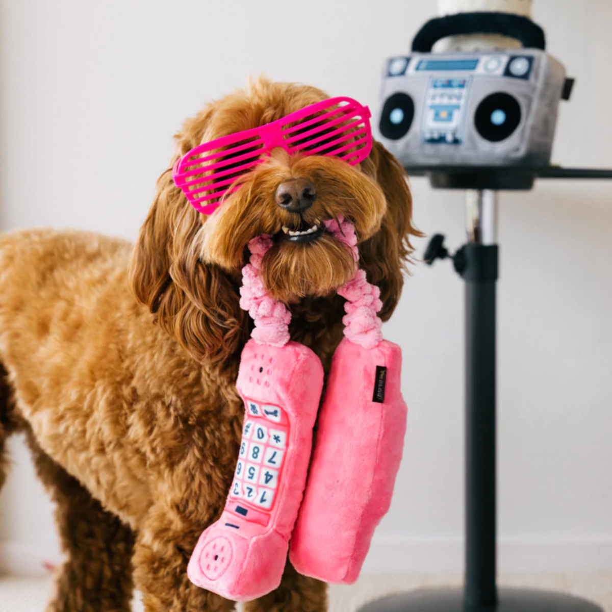 80s Dog Toy Set | Garmentory