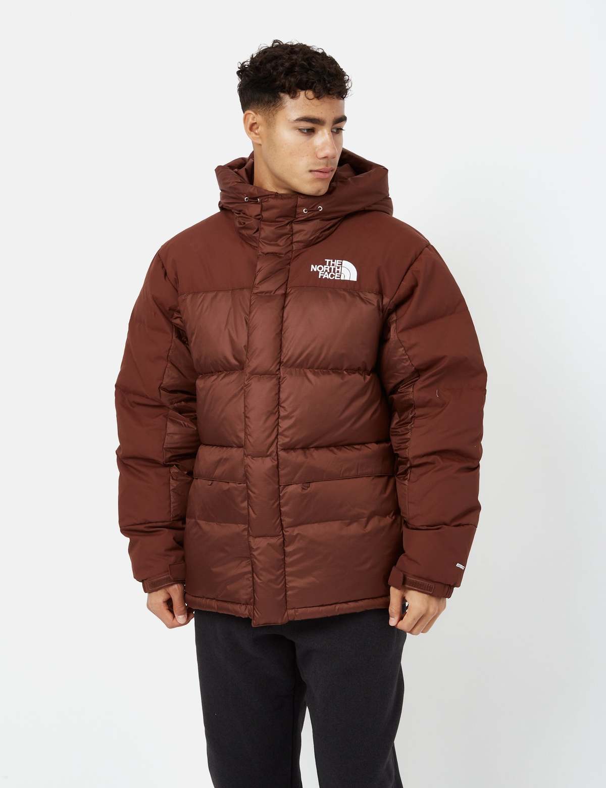 THE NORTH FACE ブラウン ジャケット L The North Face down jacket TNF x 30th Years HMLYN men's brown