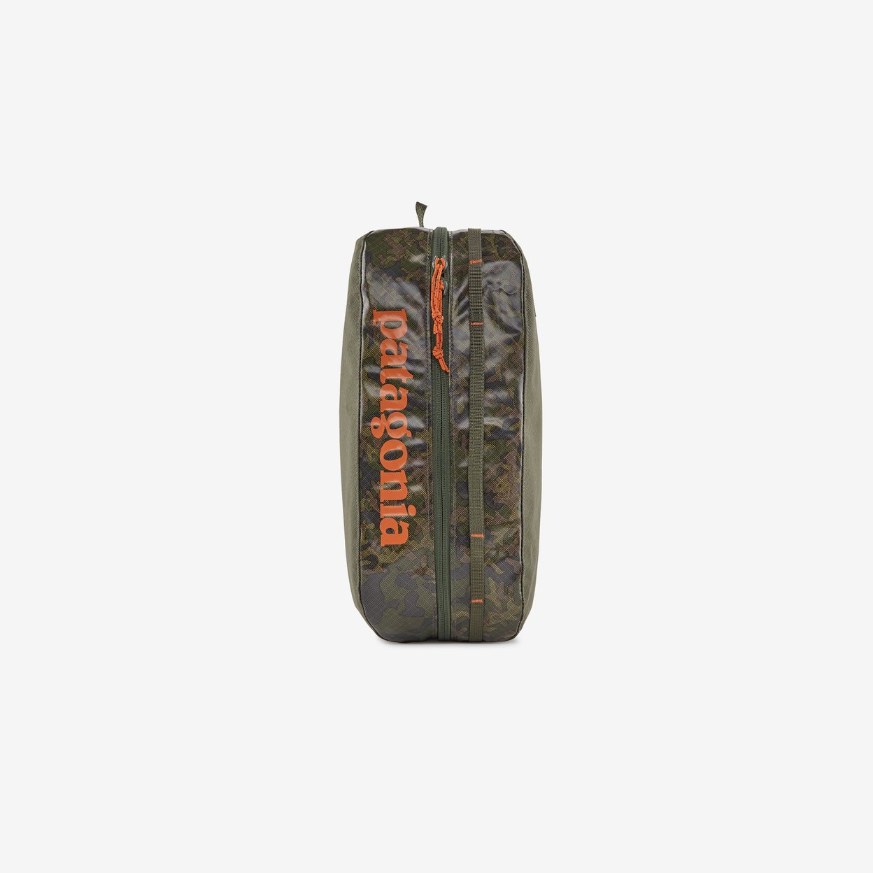 Patagonia Large Black Hole Cube - Lichen/Basin Green | Garmentory