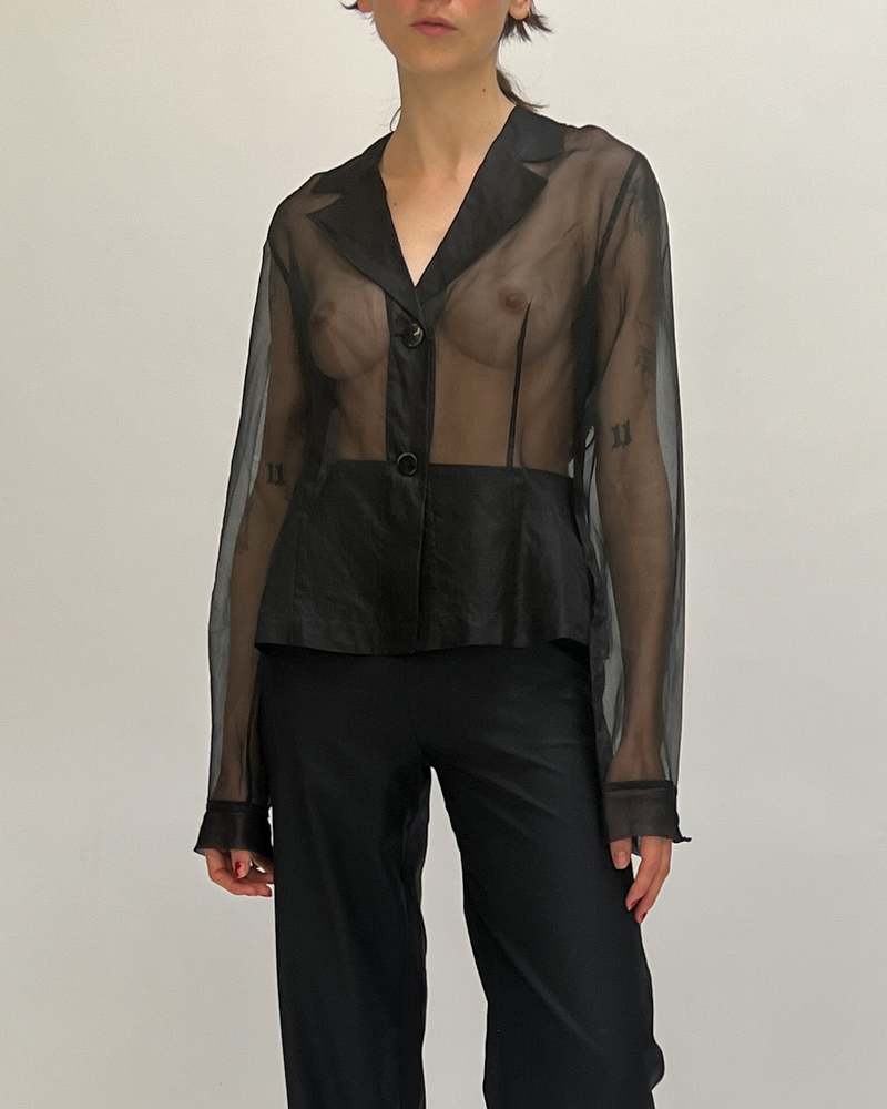 Vintage Woman's Sheer Organdy Blouse Light Peachy Beige Long