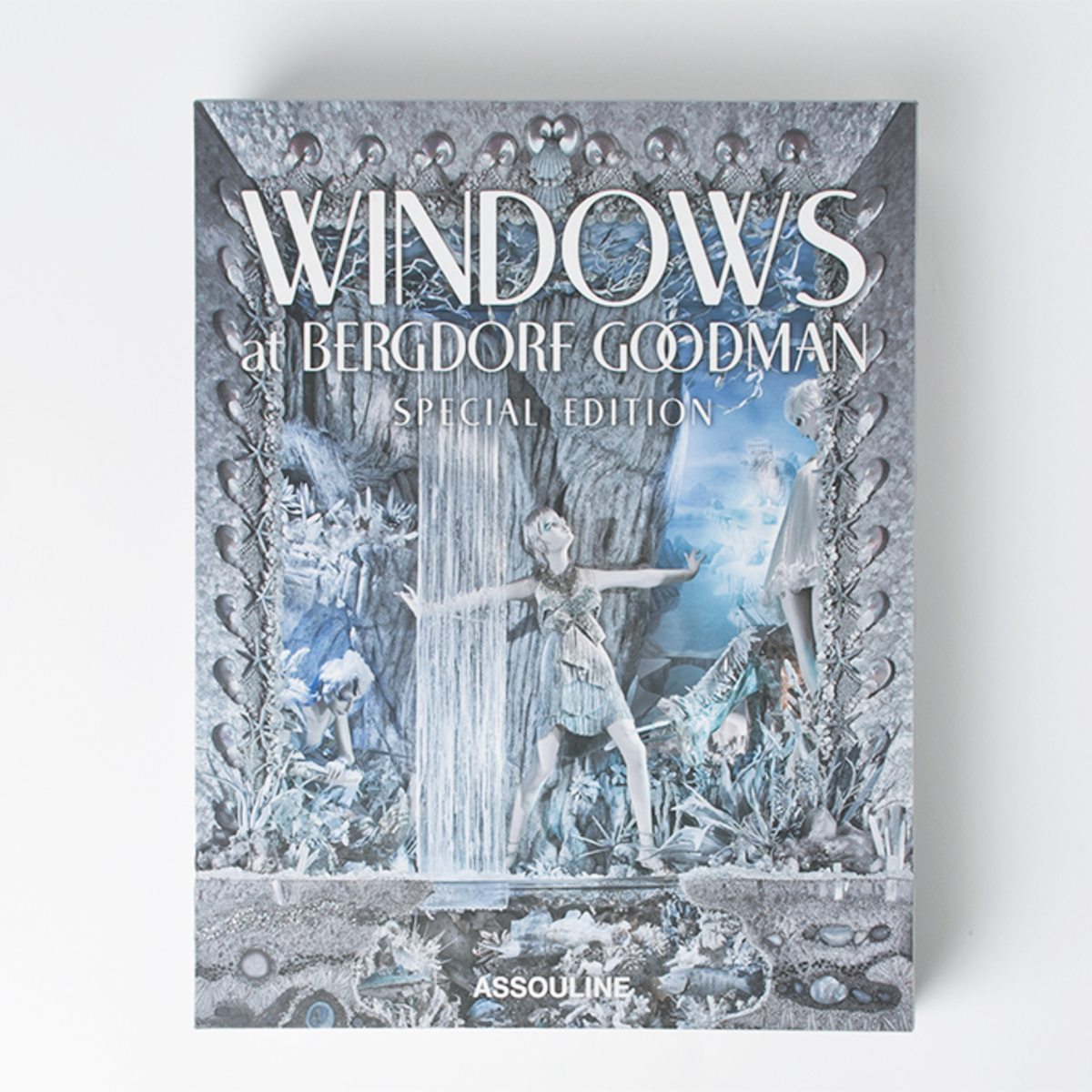 Windows at Bergdorf Goodman Special Edition | Garmentory
