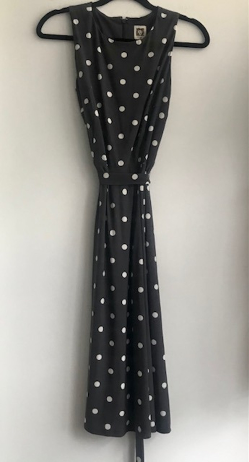 Polka Dot Dress Garmentory