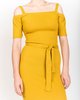 Samantha Pleet Capulet Dress In Gold - Thumbnail 5