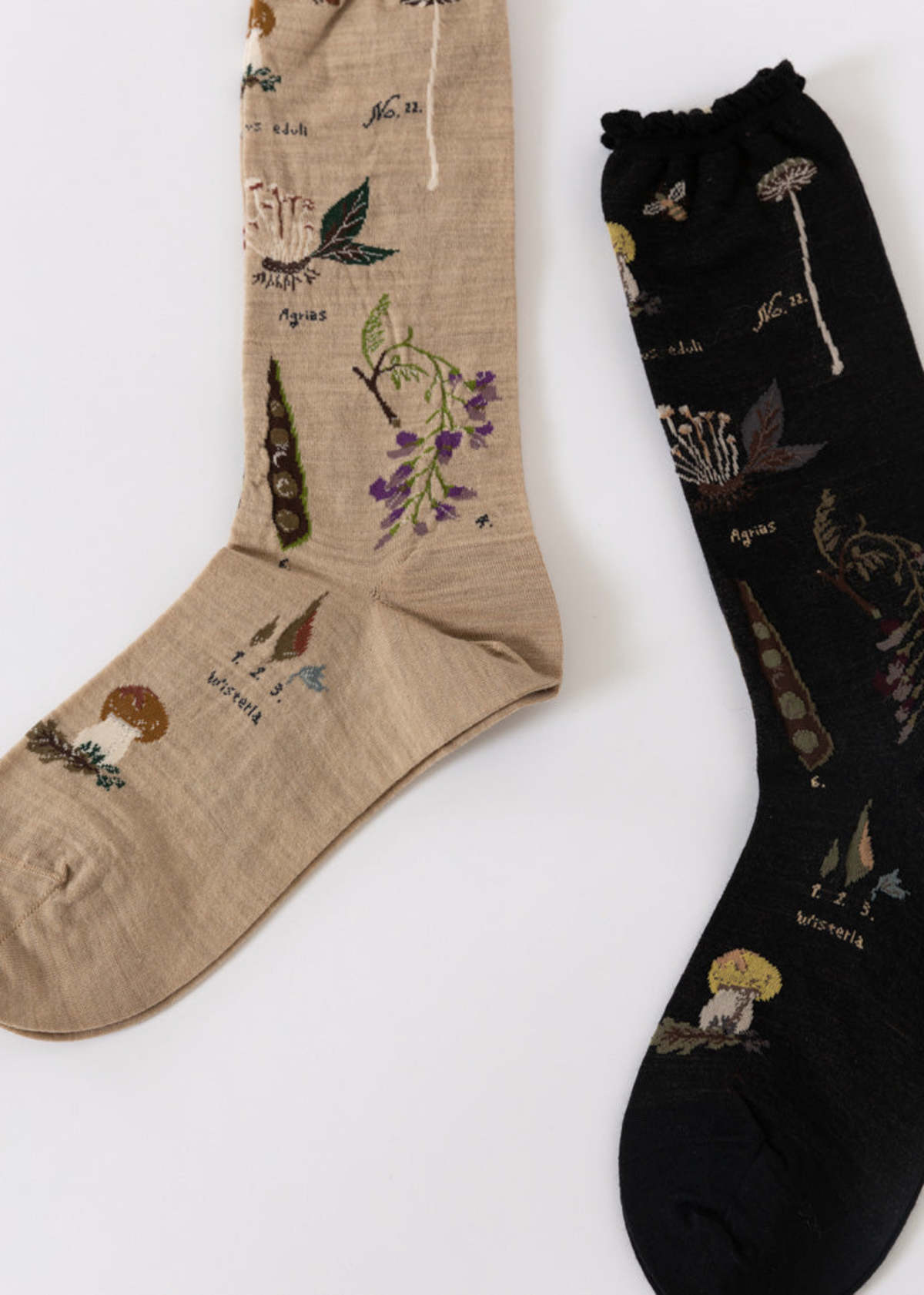 Antipast Botanical XIV Socks - Beige - Image 2 of 2