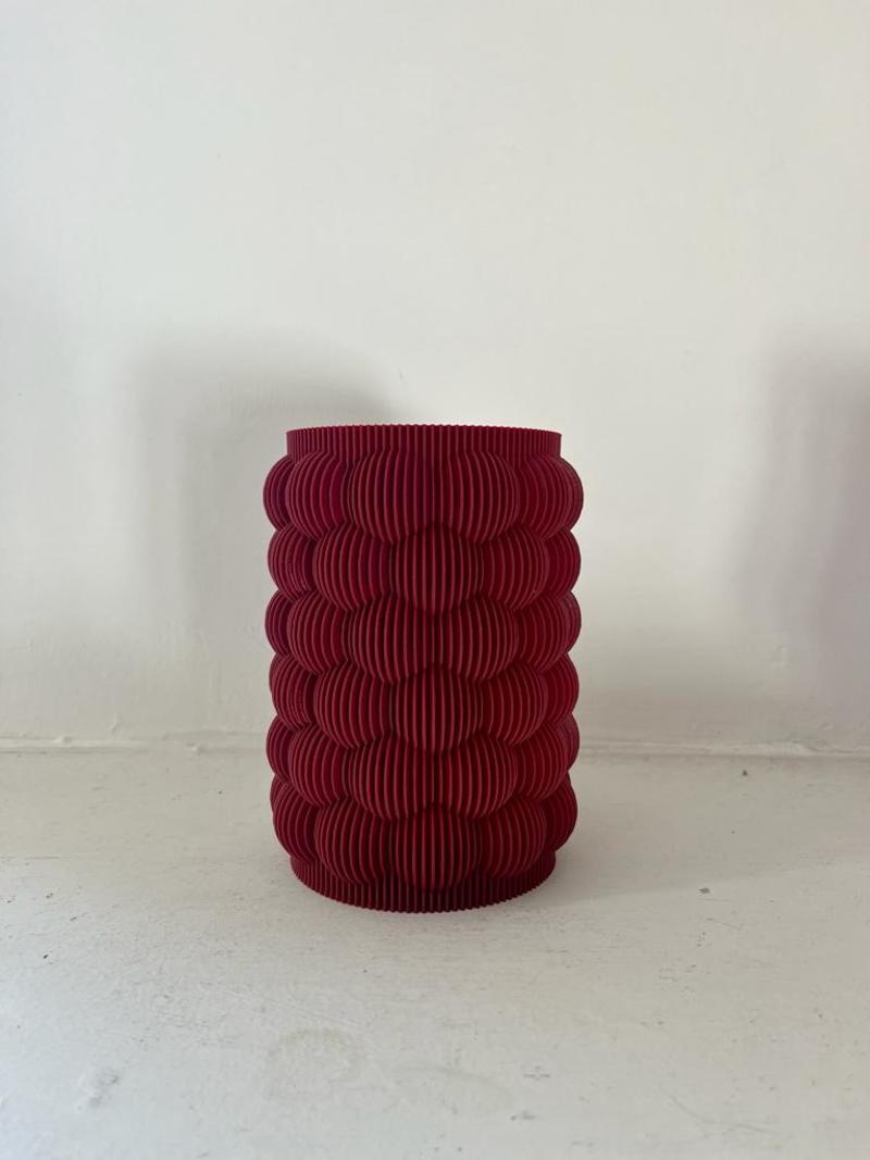 3D Printed S Vases