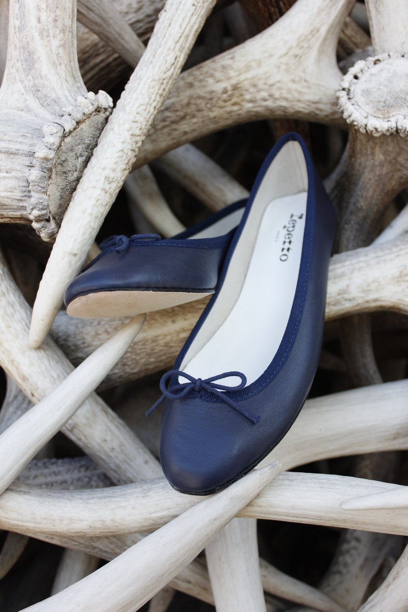 Repetto Shoes Repetto Classic Ballet Flat