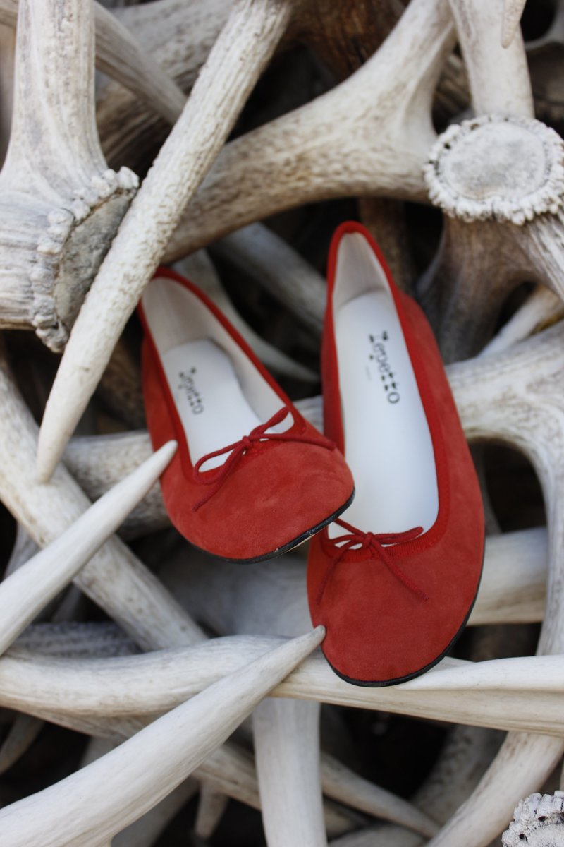 Repetto Shoes Repetto Leather Ballet flat