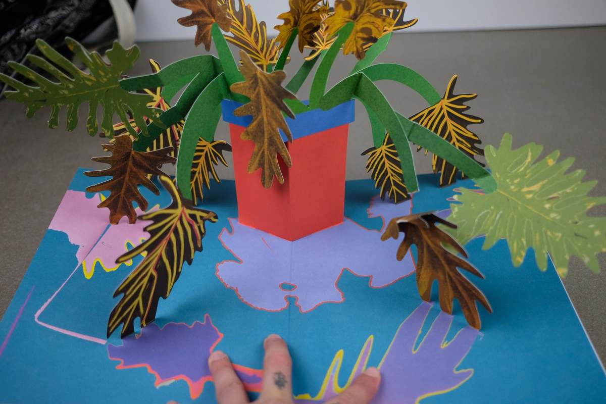 立体・オブジェ Daniel Gordon / Houseplants Houseplants Daniel Gordon - delpire & co