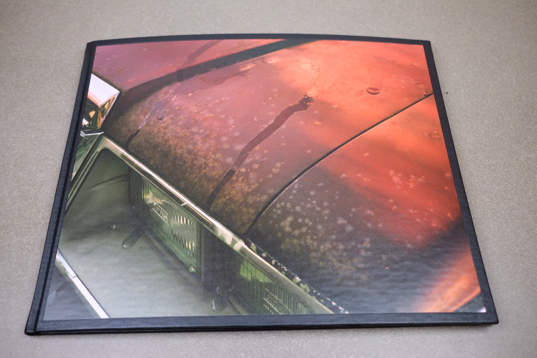 TBW Books Phil Jung Windscreen | Garmentory
