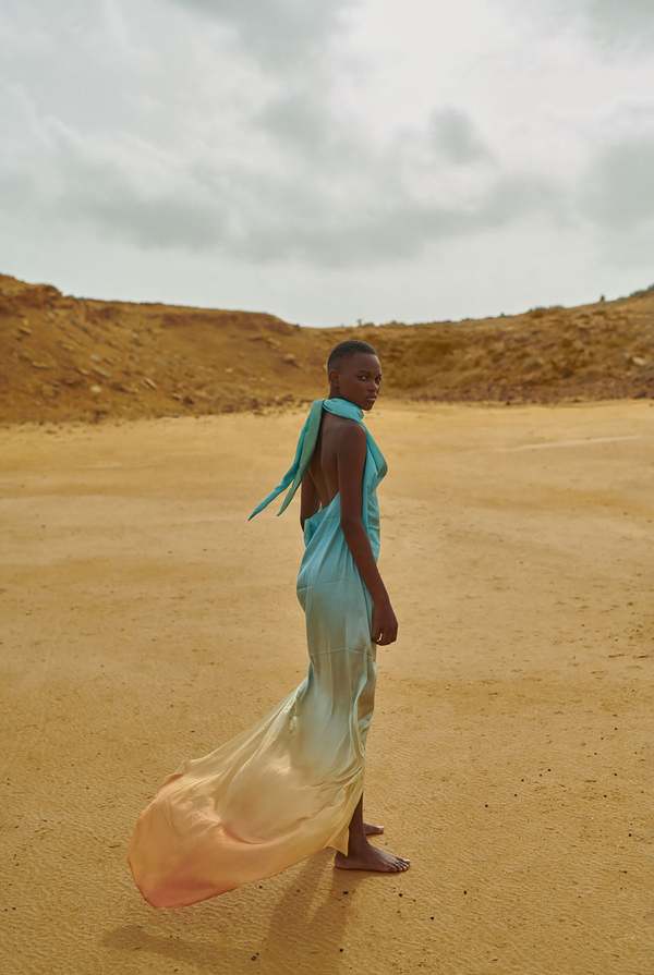 baobab brown dress Baobab Giselle Terra Strapless Knotted Maxi Dress