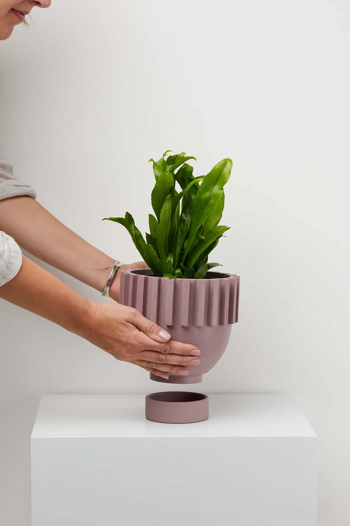 Capra Designs Solstice Planter - Image 2 of 12