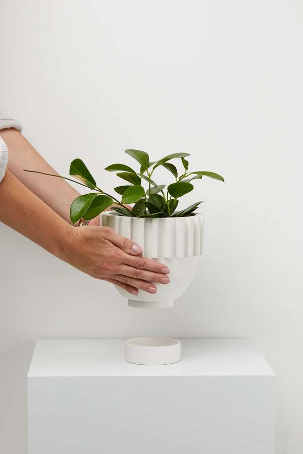 Capra Designs Solstice Planter