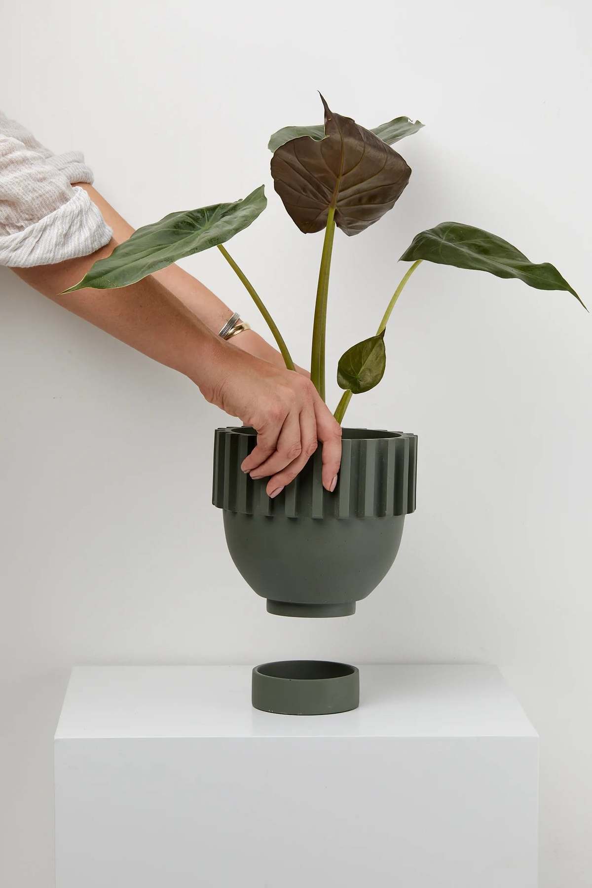 Capra Designs Solstice Planter - Image 9 of 12